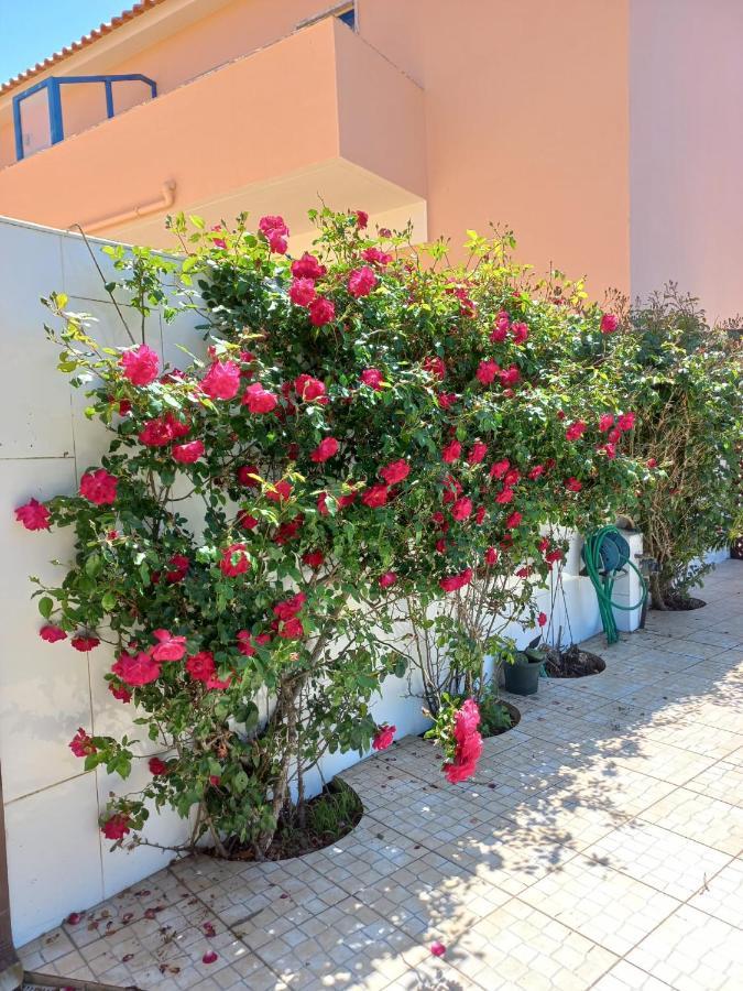 Casa Do Portao Azul - Salmonete Apartment อาโตเกีย ดา บาเลยา ภายนอก รูปภาพ